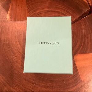 Tiffany & Co. Aqua Gift Box
